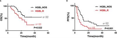 High-intensity chemotherapy improved the prognosis of patients with high-grade B-cell lymphoma